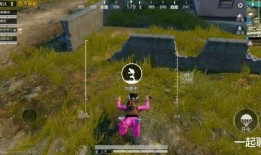 吃鸡烟雾弹爆料最新,最新爆料揭示战场神秘武器