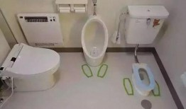 日本卫生间爆料案件最新,揭秘隐私泄露背后的惊人真相