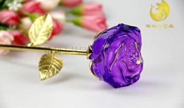 水晶玫瑰最新爆料视频大全,揭秘幕后真相与精彩瞬间