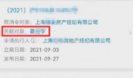 韦丹丹爆料记录最新情况,揭秘事件背后惊人真相