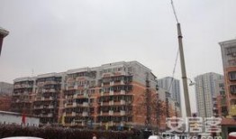 红桥弘丽园最新爆料,揭秘神秘项目背后的真相与未来展望