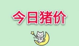 猪价最新爆料图片,最新爆料揭示市场动态