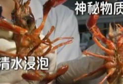 小虾爆料最新消息