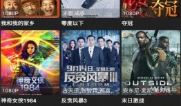 木偶师最新爆料网站下载,网站下载背后的秘密与奇遇