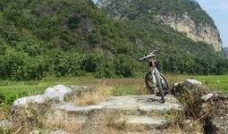 西峰爆料最新结果,揭秘事件真相，真相大白！