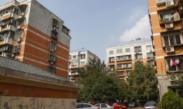 红桥弘丽园最新爆料,揭秘神秘项目背后的真相与未来展望