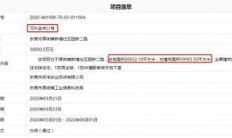 爆料最新项目是什么,行业颠覆者即将亮相