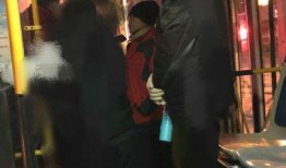 石家庄公交车最新爆料,最新线路调整与爆料揭秘