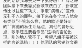爆料大鹅解说是谁啊最新,爆料大鹅解说背后的神秘人物