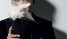 卓伟最新爆料明星恋情,明星恋情再掀波澜，神秘对象引热议