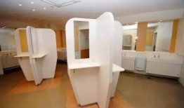 日本卫生间爆料案件最新,揭秘隐私泄露背后的惊人真相